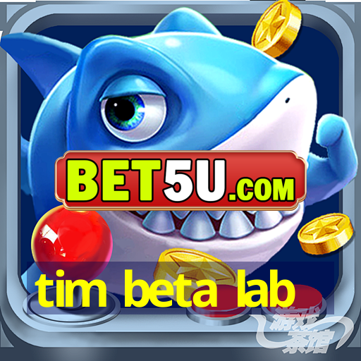 tim beta lab